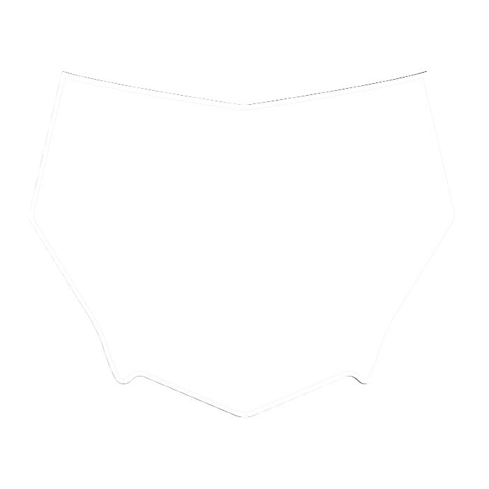 CUSTOM MOTOCUTZ FRONT PLATE DECAL