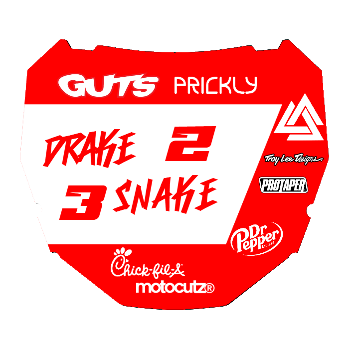 CUSTOM ODI NUMBER PLATE DECAL