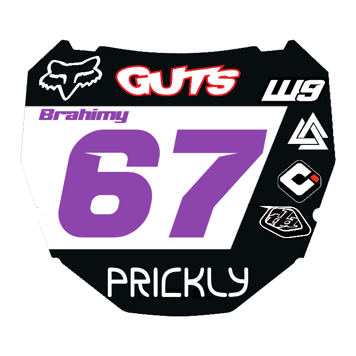 CUSTOM ODI NUMBER PLATE DECAL