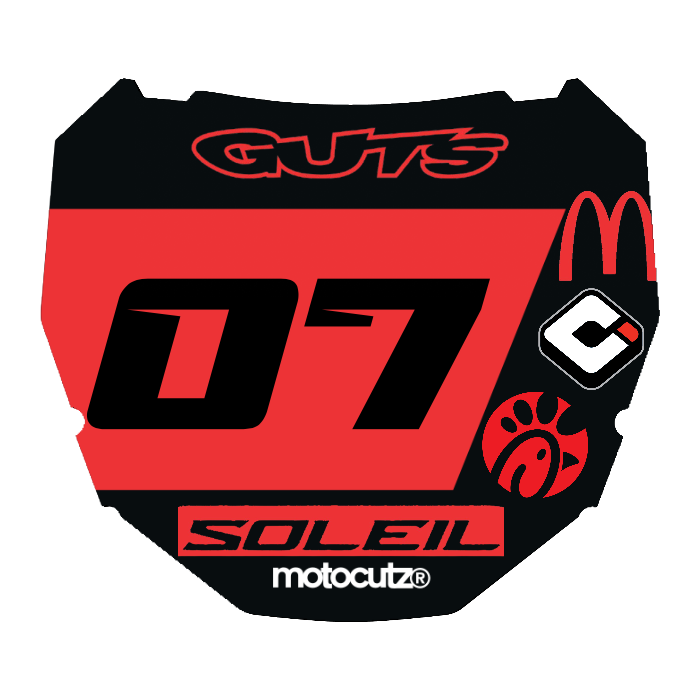 CUSTOM ODI NUMBER PLATE DECAL