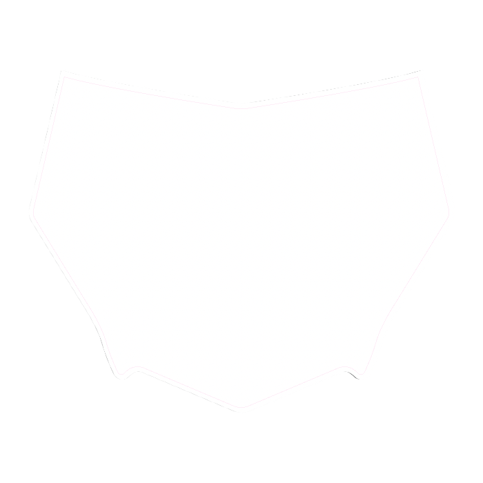 CUSTOM MOTOCUTZ FRONT PLATE DECAL