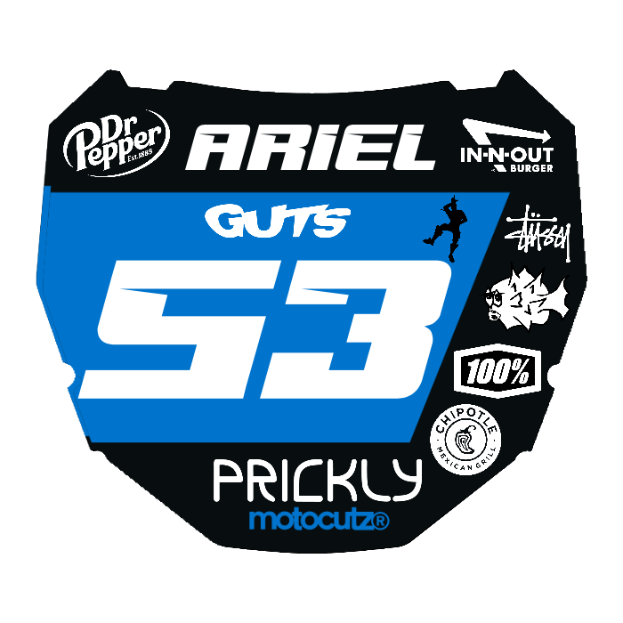 CUSTOM ODI NUMBER PLATE DECAL