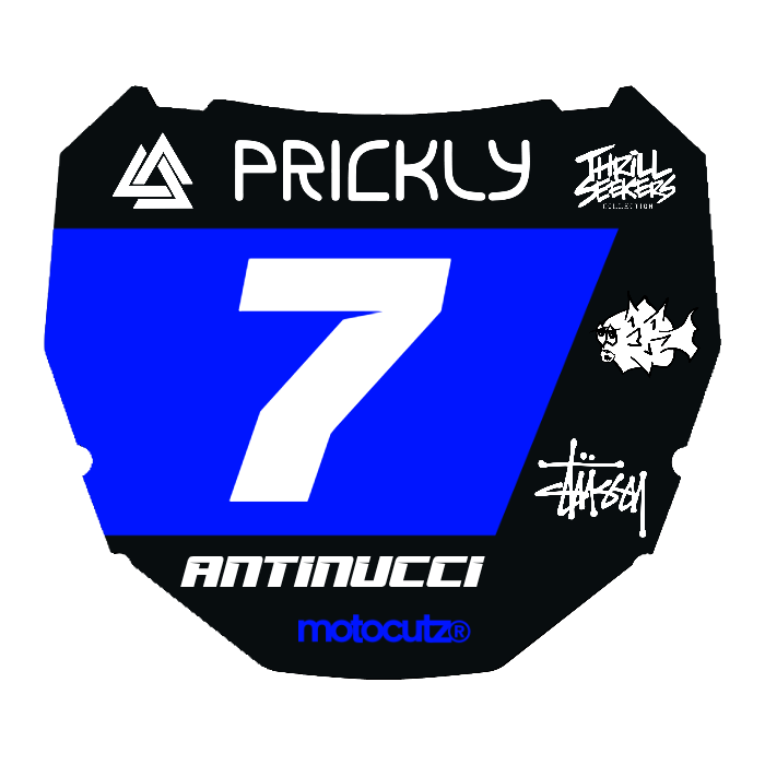 CUSTOM ODI NUMBER PLATE DECAL