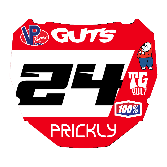 CUSTOM ODI NUMBER PLATE DECAL
