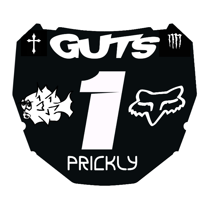 CUSTOM ODI NUMBER PLATE DECAL